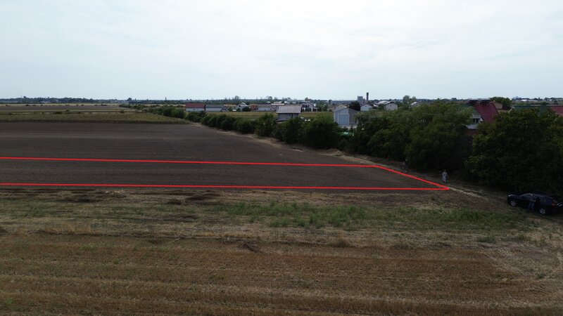 Darza teren intravilan 6000 mp, 13e/ mp deal pentru case, ferma, productie